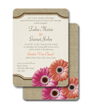 gerbera daisy burlap