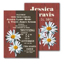 barnwood and daisies